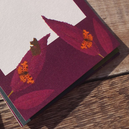 Butterflies Gift Notes