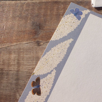 Butterflies Gift Notes