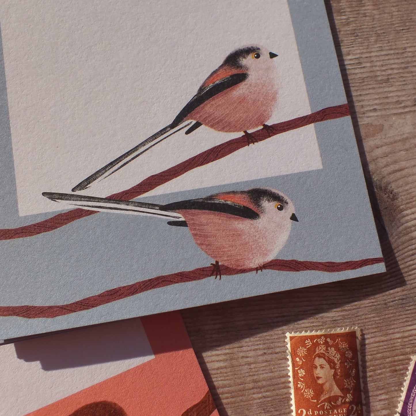 Hedgerow Birds Gift Notes
