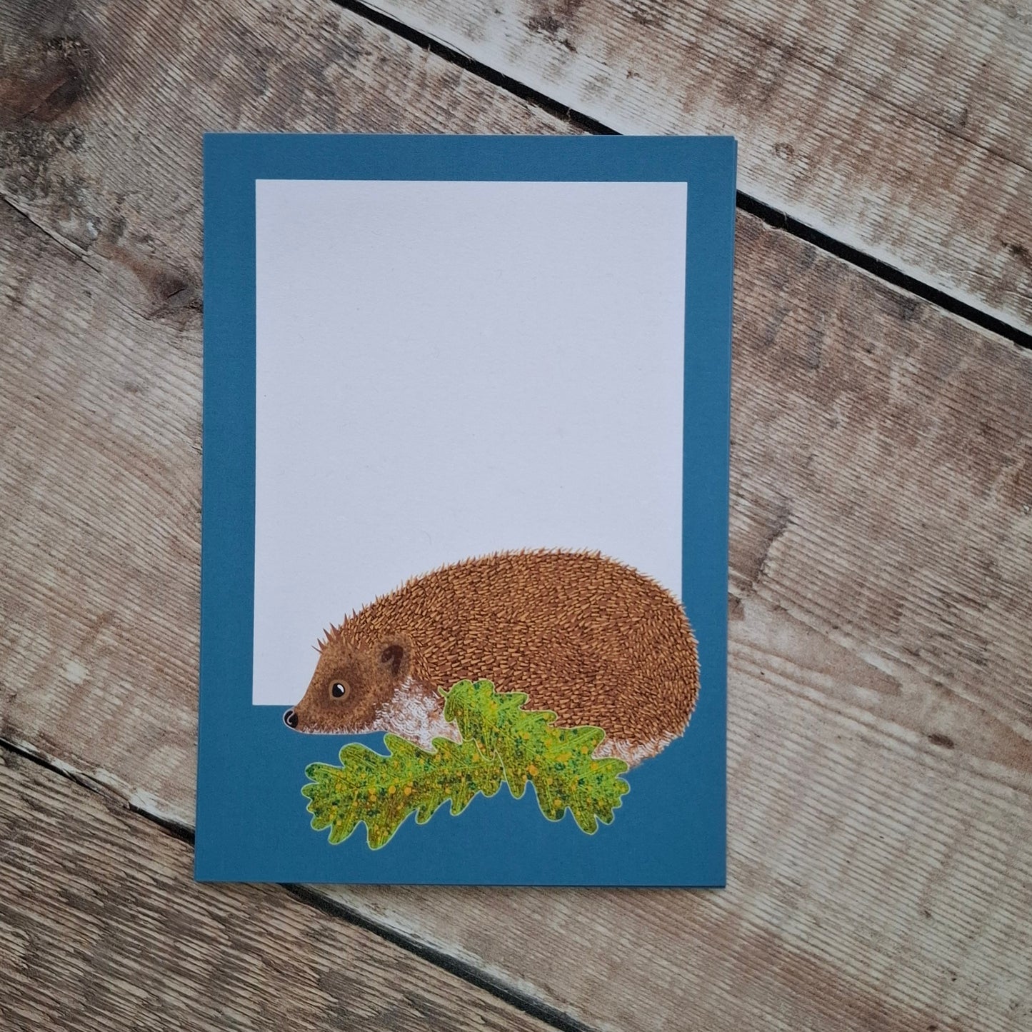 Hedgehog Gift Notes