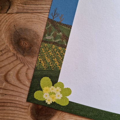 Cornish Primroses Gift Notes