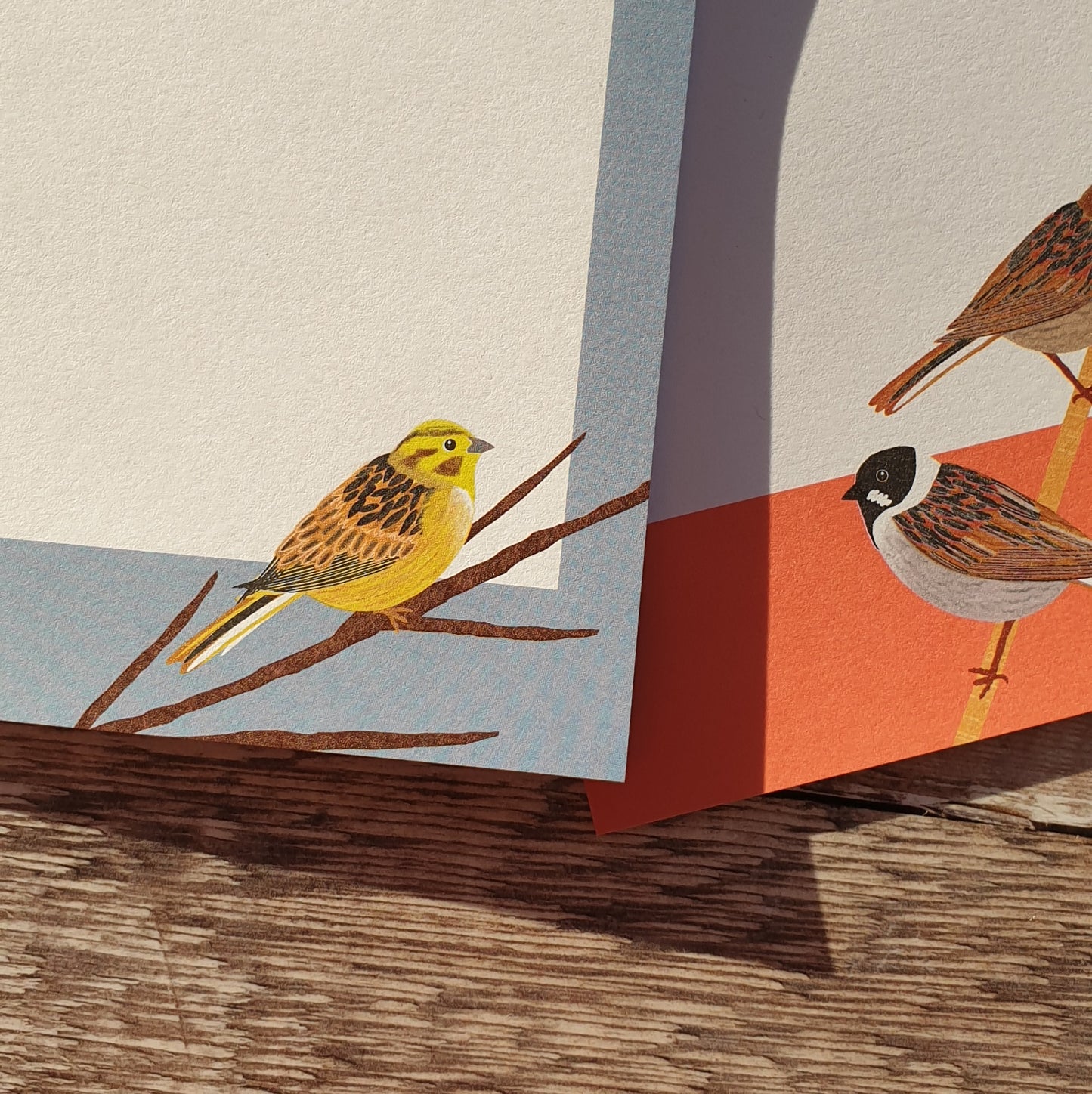 Yellowhammer and Reed Bunting Mini Notes Writing Set