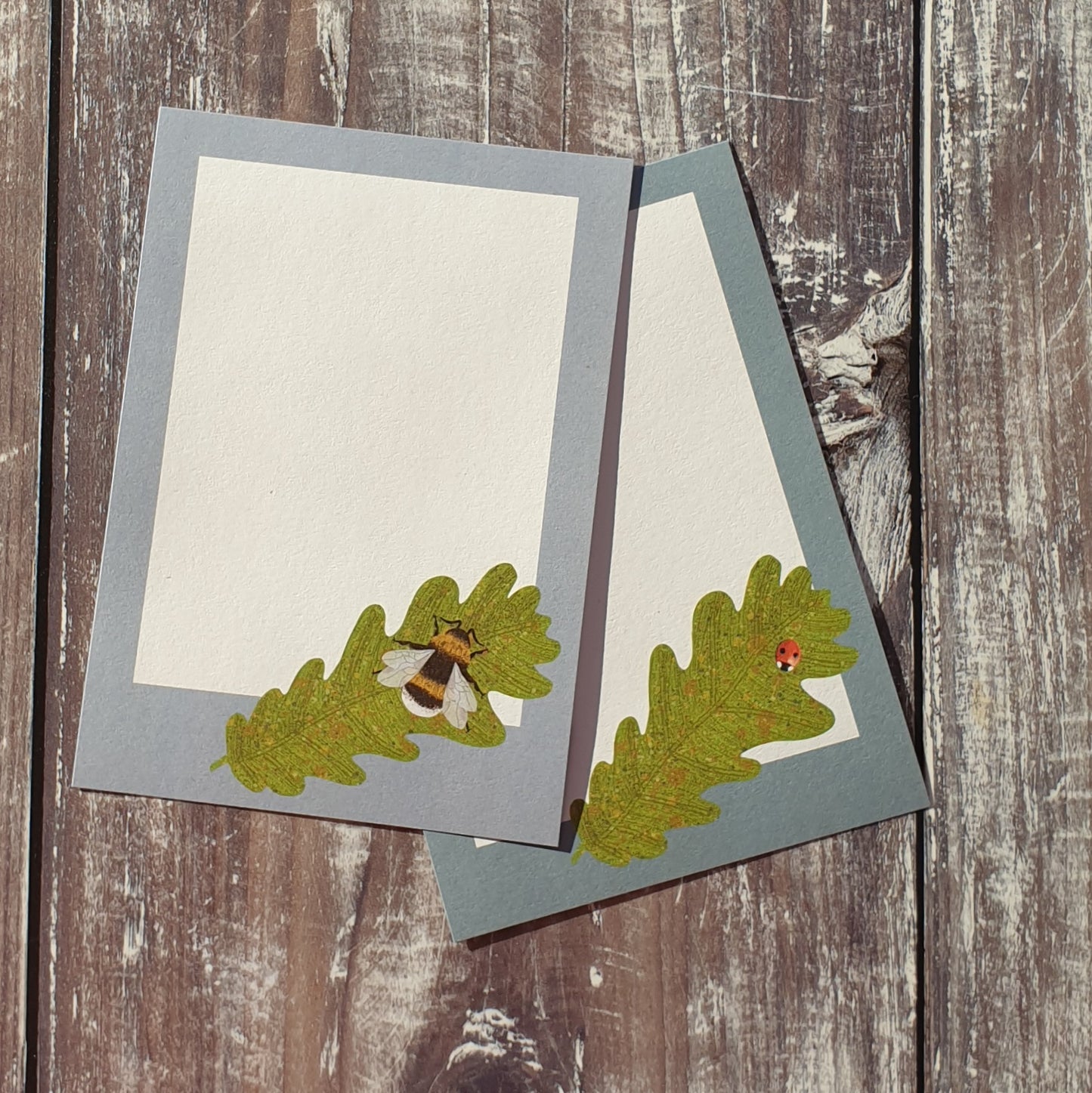 Bumblebee and Ladybird Gift Notes