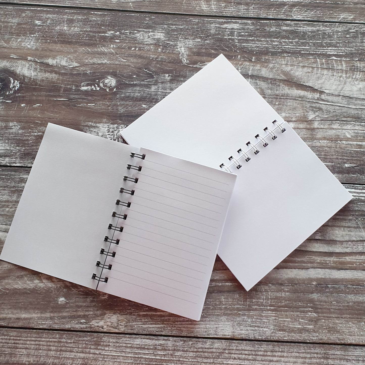 Ammonite - Pale Blue Notebooks