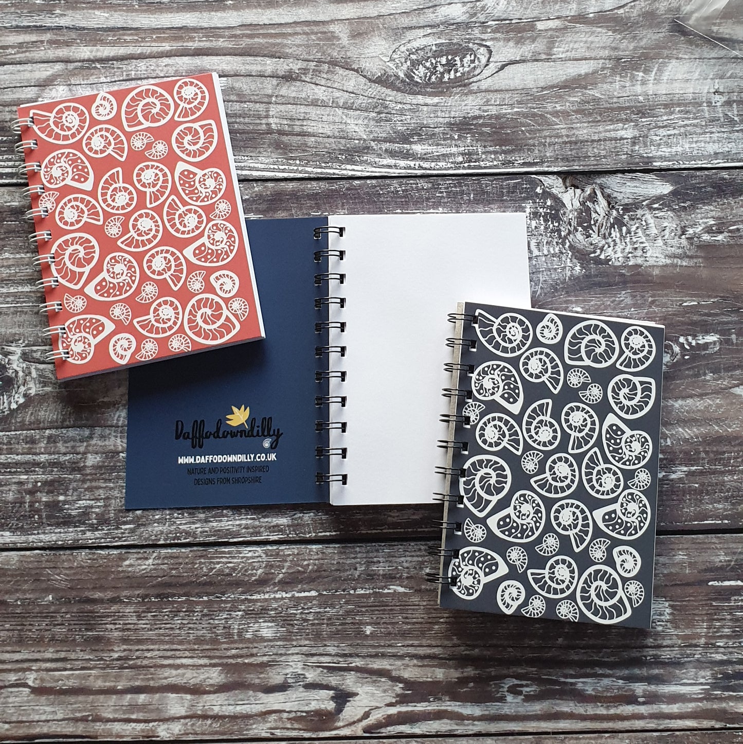 Ammonite - Pale Blue Notebooks