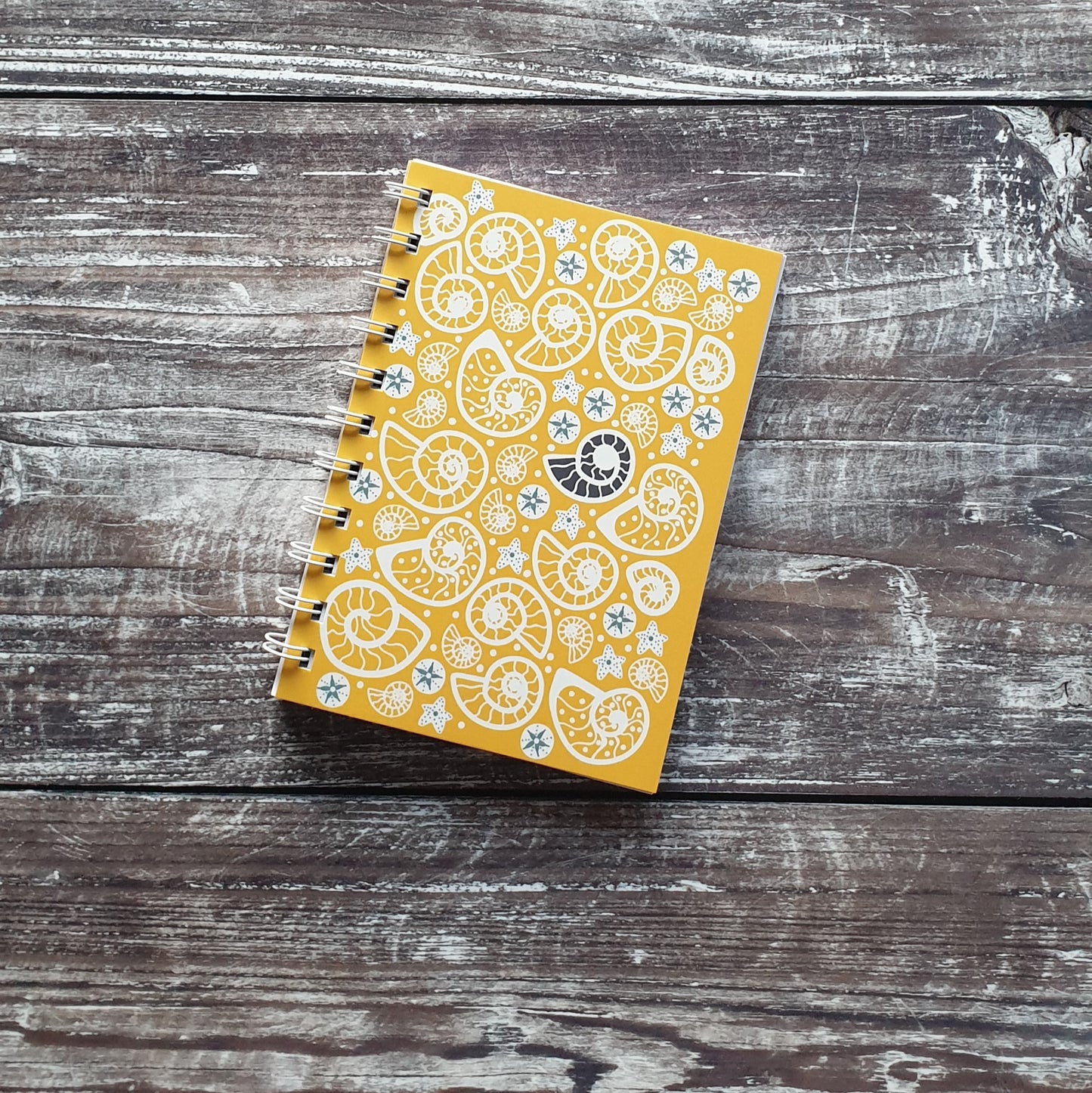 Fossil Beach - Yellow Notebooks