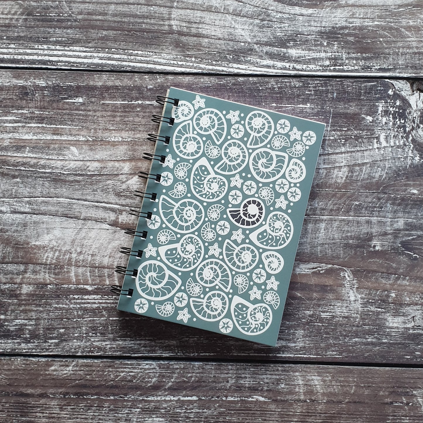 Fossil Beach - Blue Notebooks