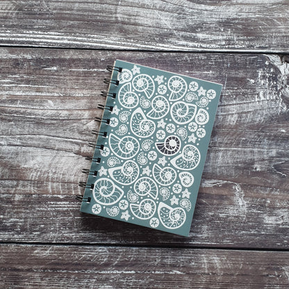Fossil Beach - Blue Notebooks