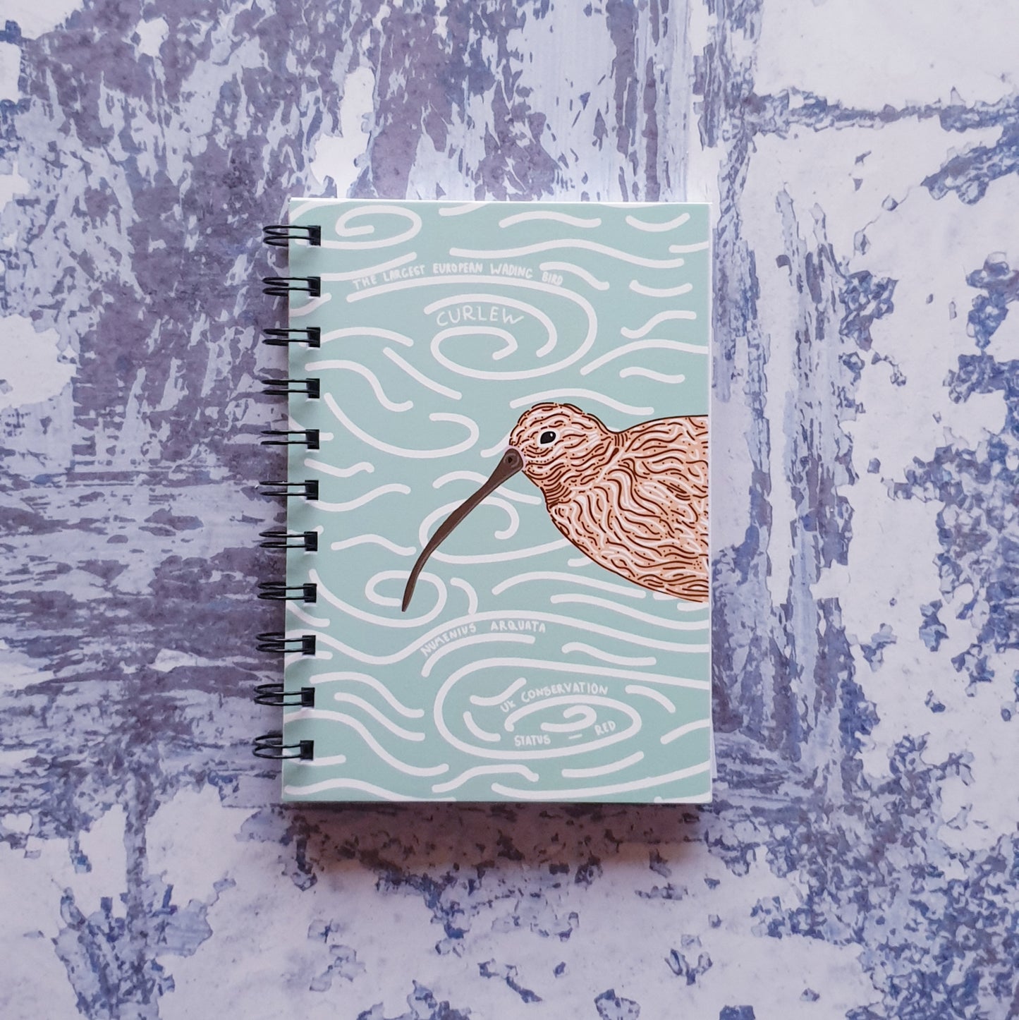 Curlew Notebooks