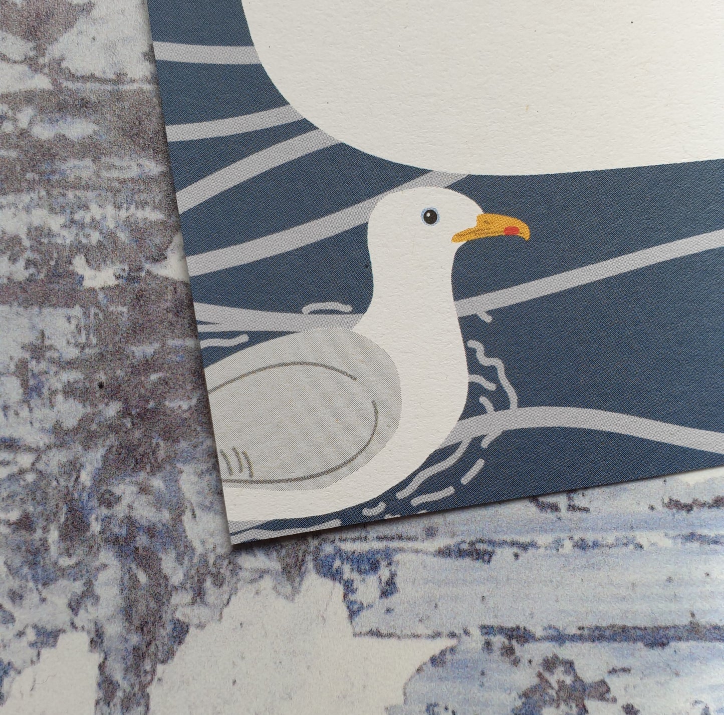 Waterbirds Gift Note - Set of 4