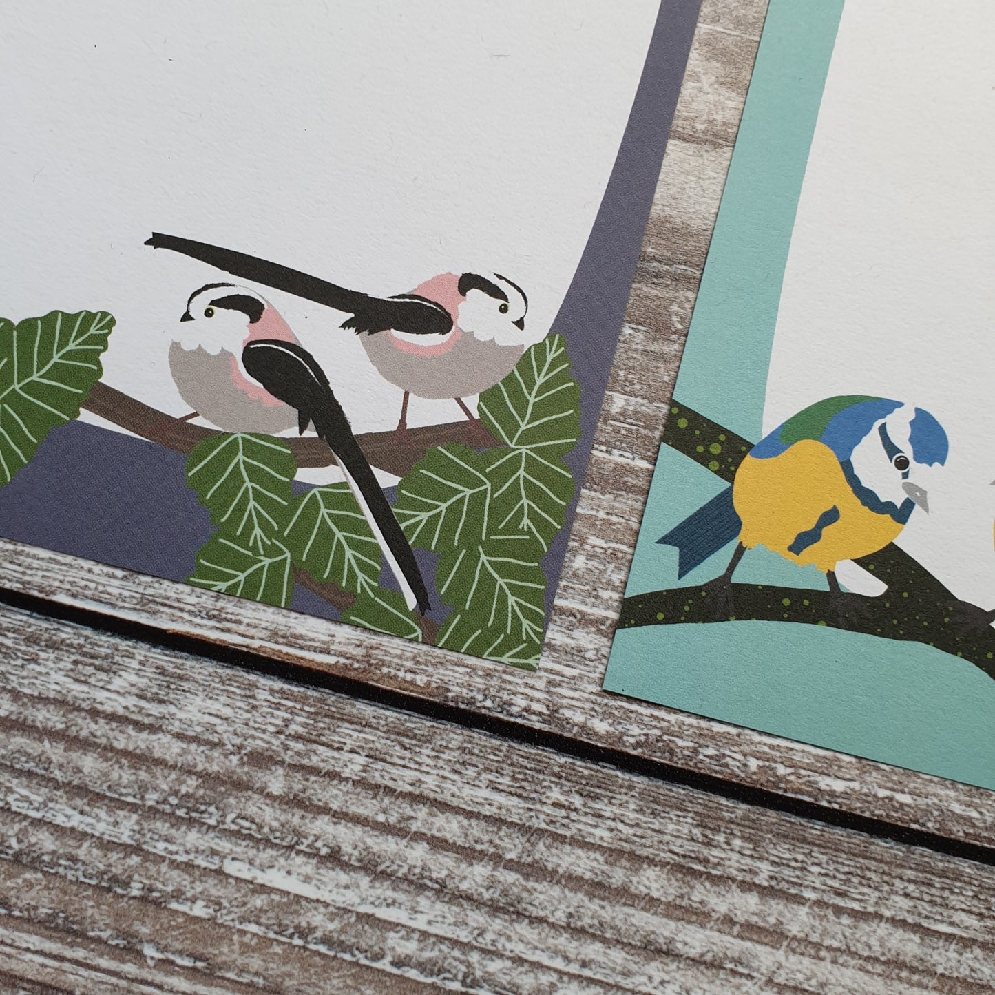 Songbirds Gift Note - Set of 4