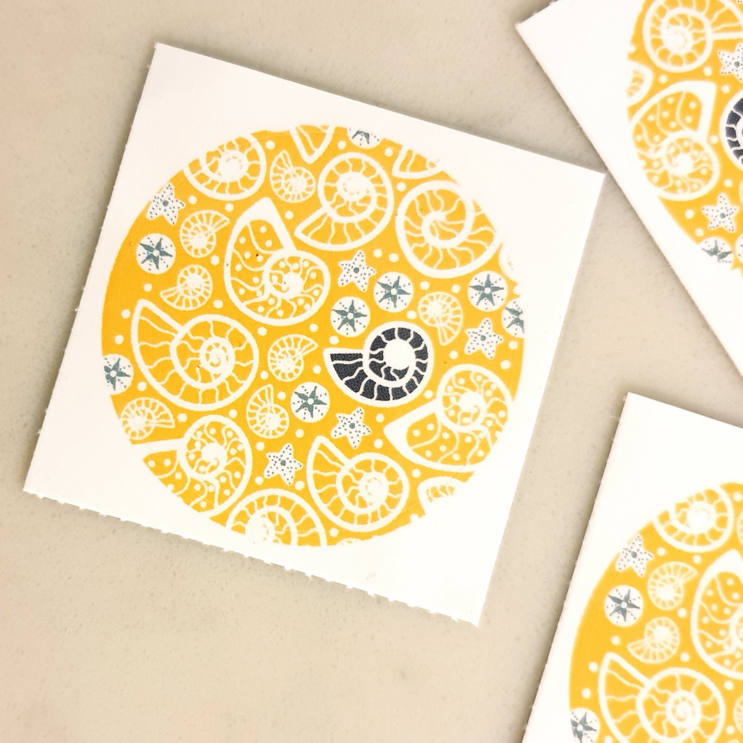 Fossil Beach 38mm Vinyl Stickers