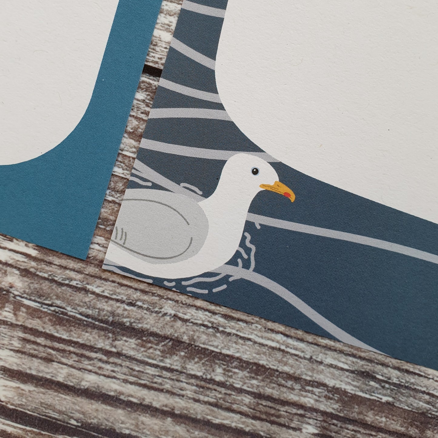Waterbirds Gift Note - Set of 4
