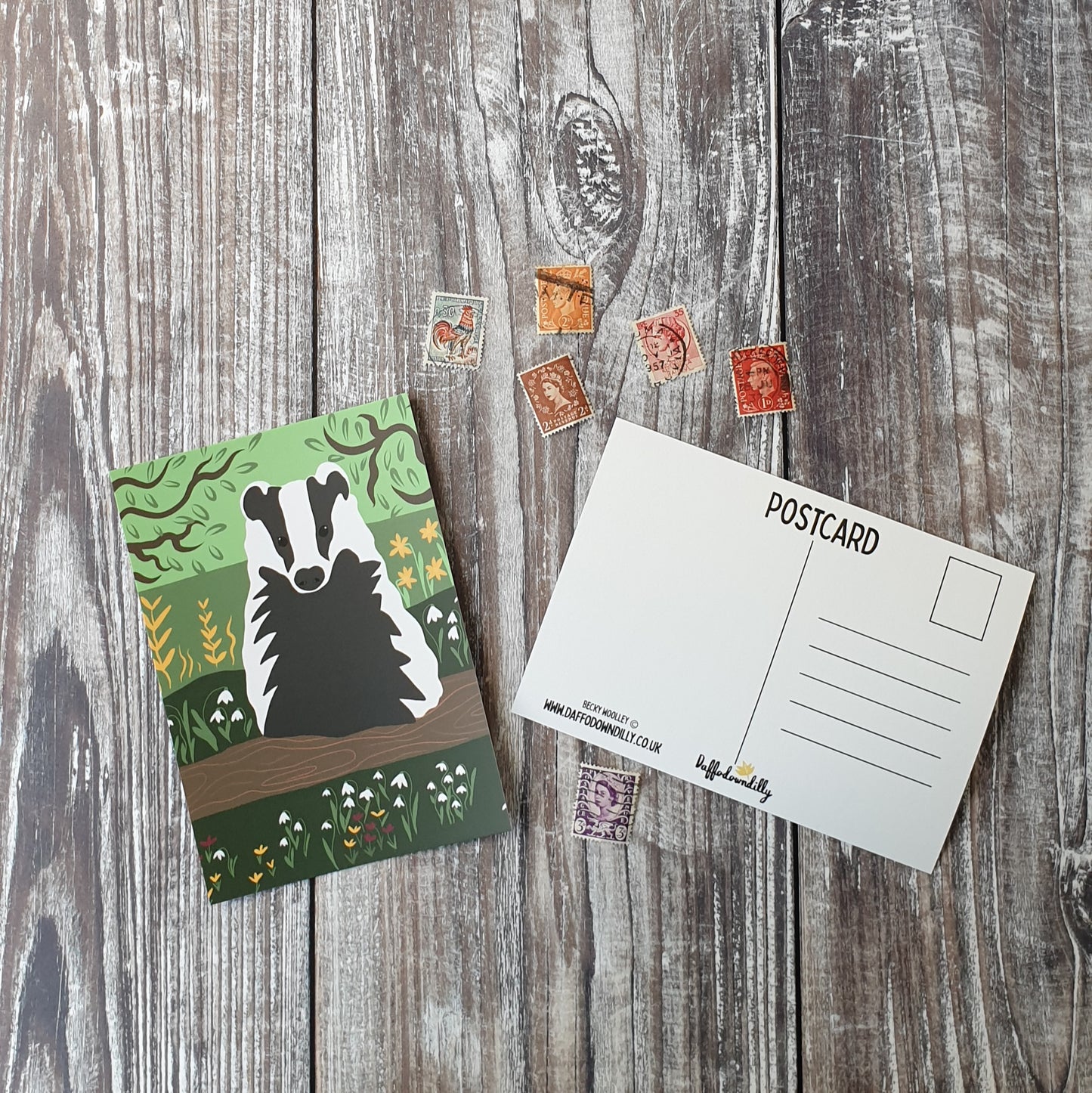 Badger Postcard