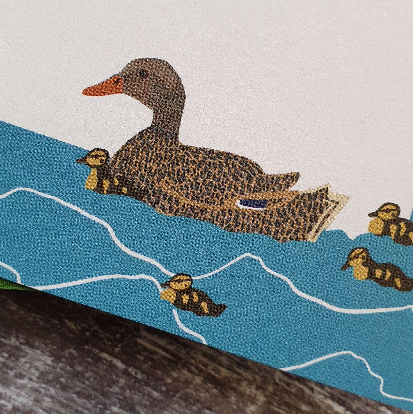 Mallard Gift Note - Set of 4
