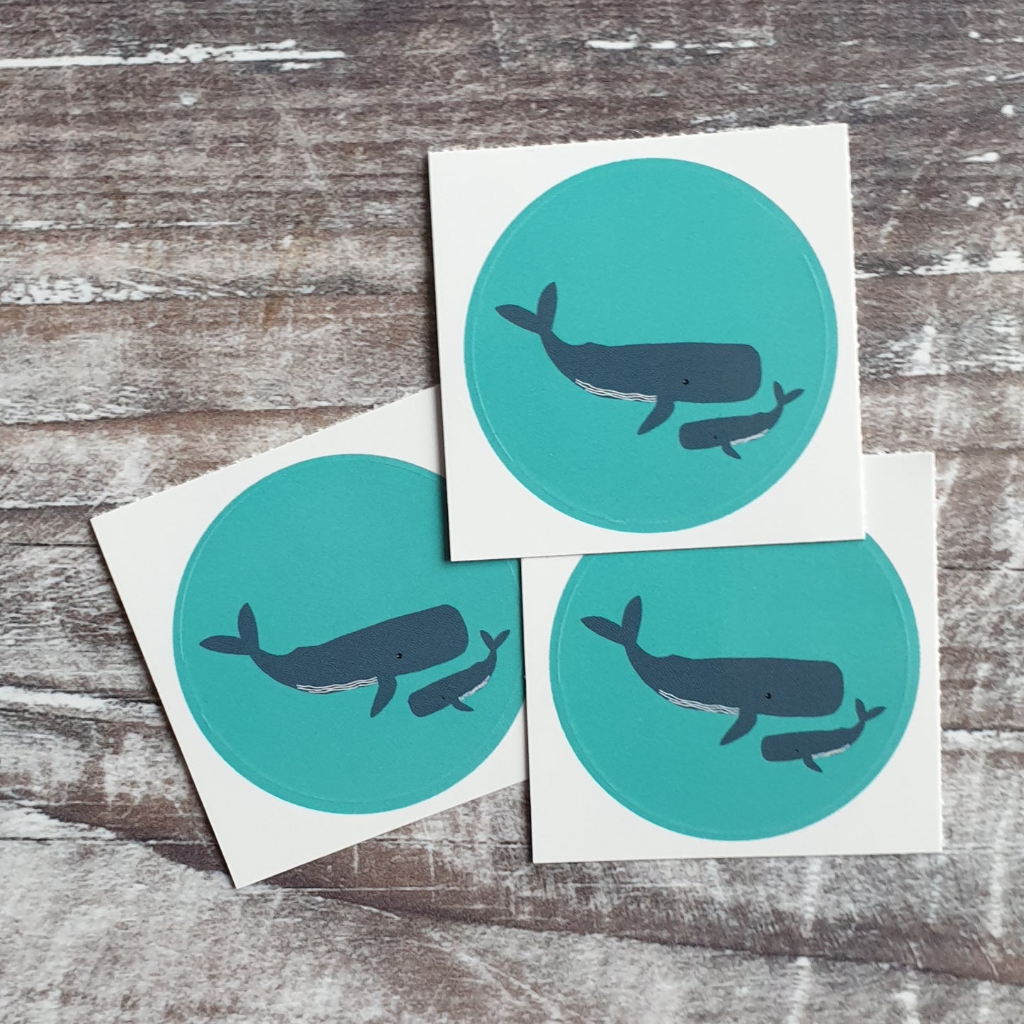 Whale 38mm Vinyl Sticker