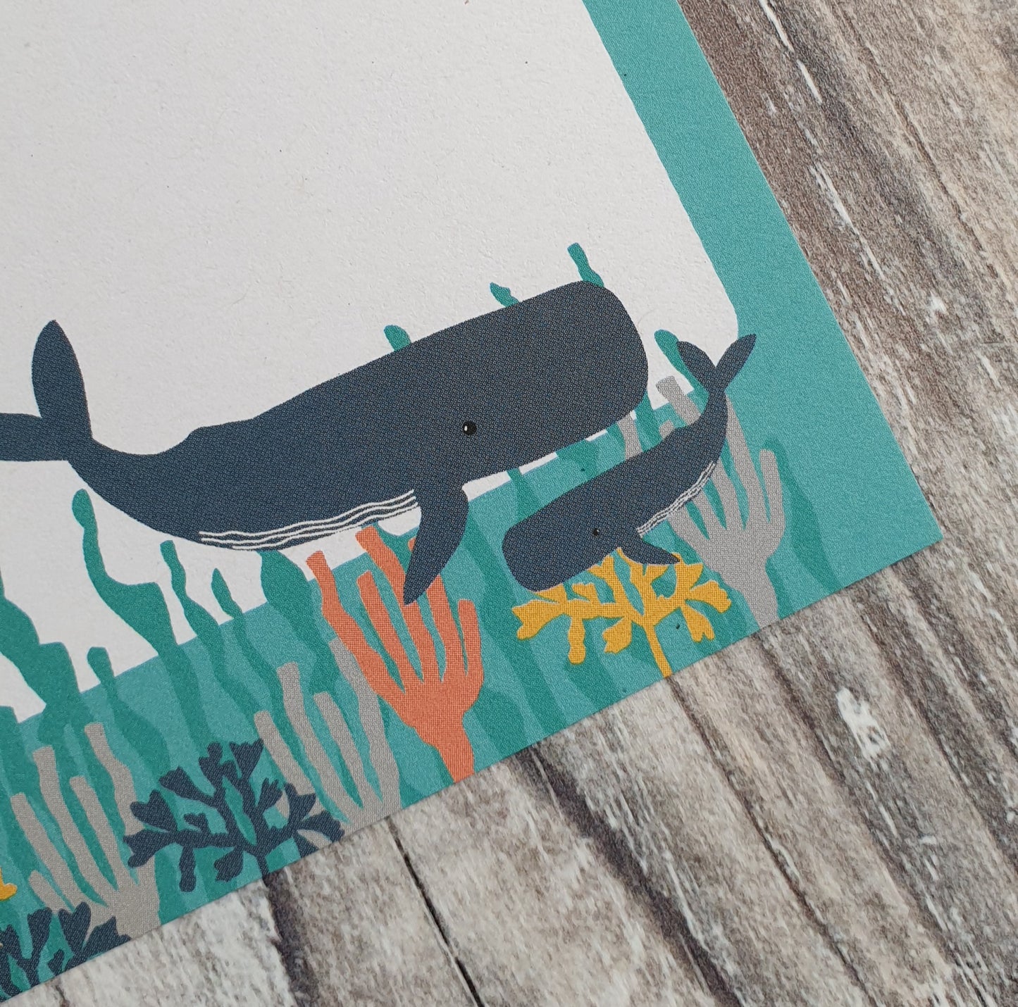 Cetaceans Gift Note - Set of 4