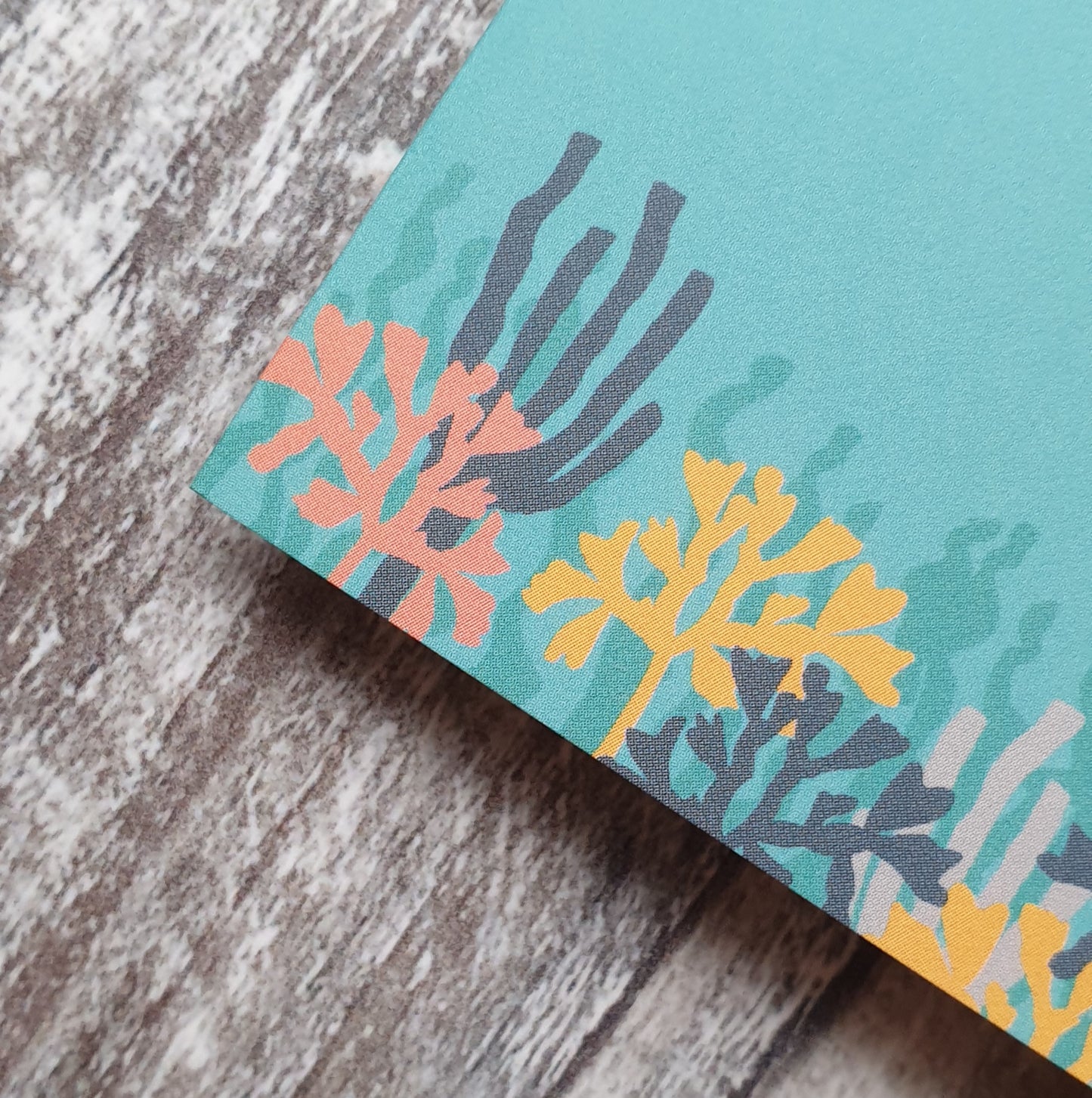 Dolphin Greeting Card