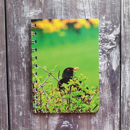 Blackbird Photographic A6 Notebook