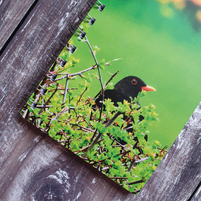 Blackbird Photographic A6 Notebook