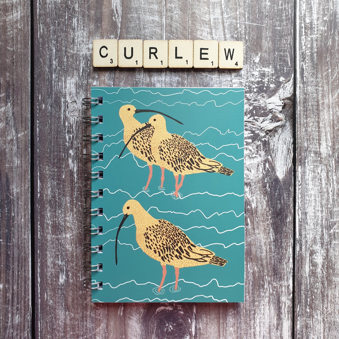Curlew Family Notebooks