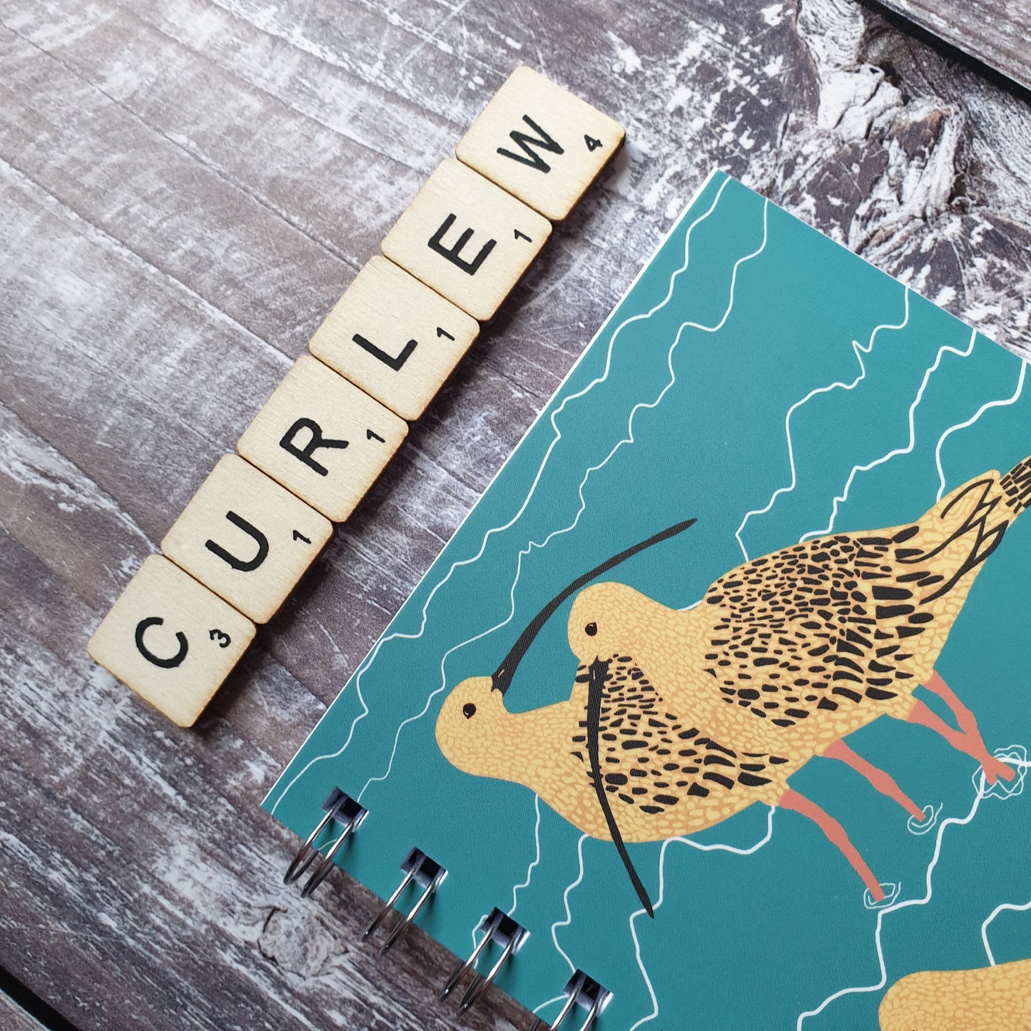 Curlew Family Notebooks