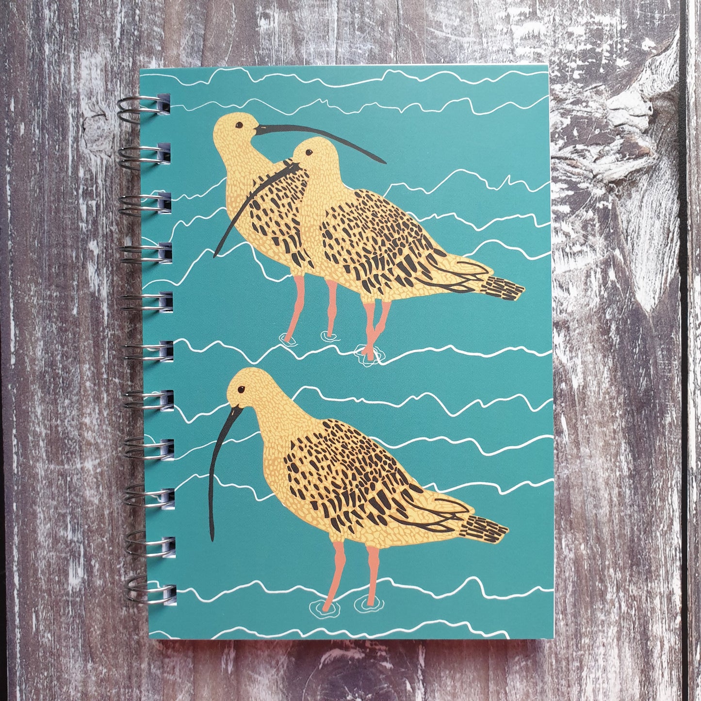 Curlew Family Notebooks