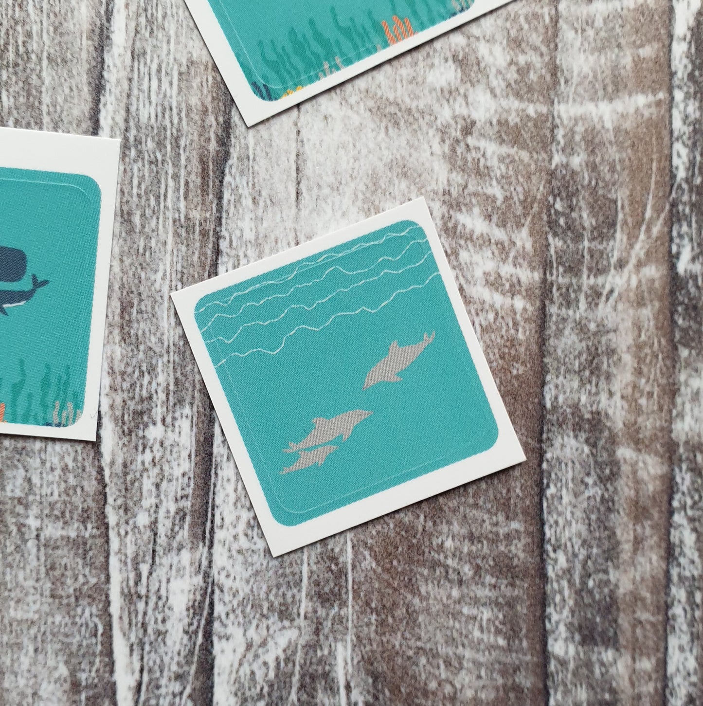 Cetaceans Envelope Sticker Set