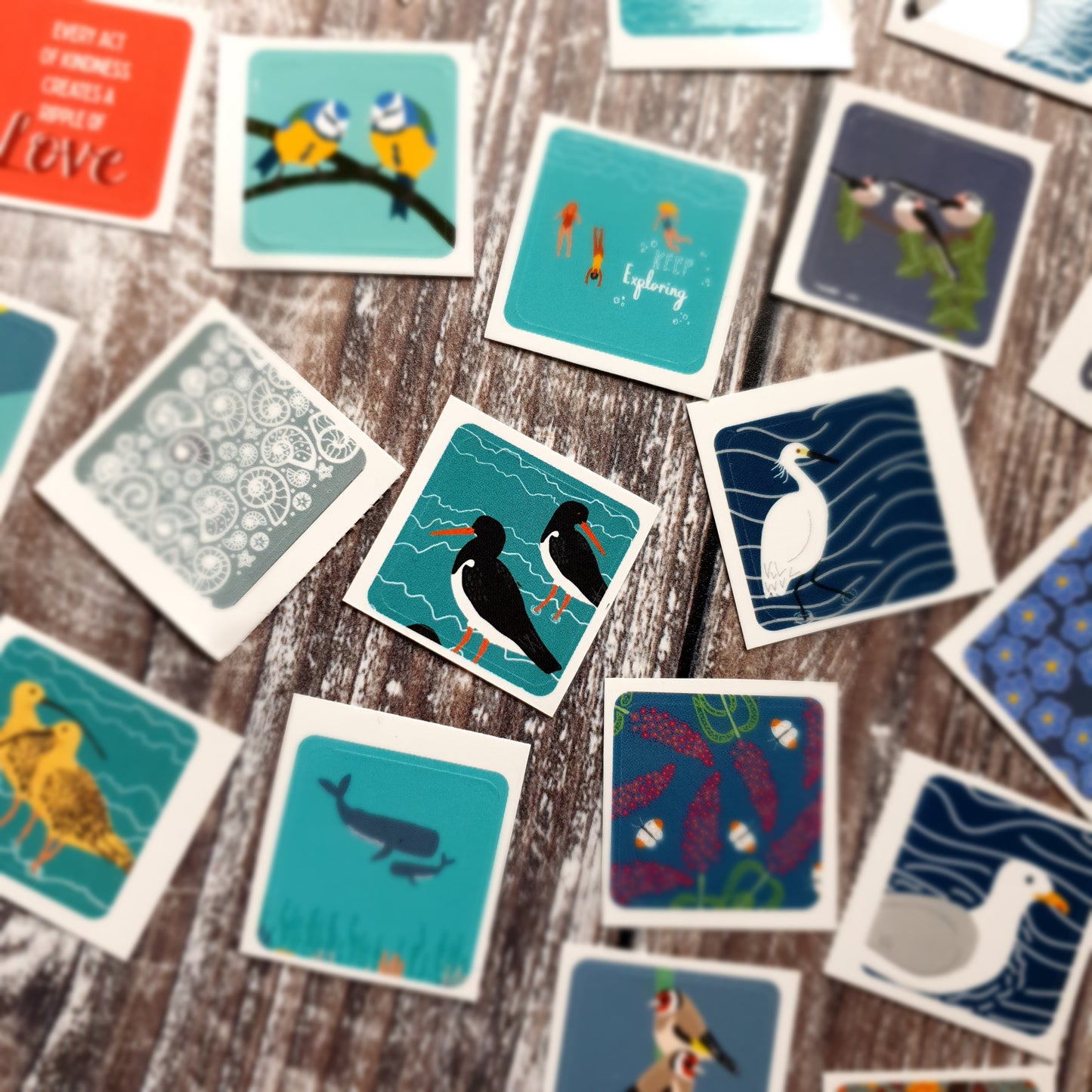 Waterbirds Envelope Sticker Sets
