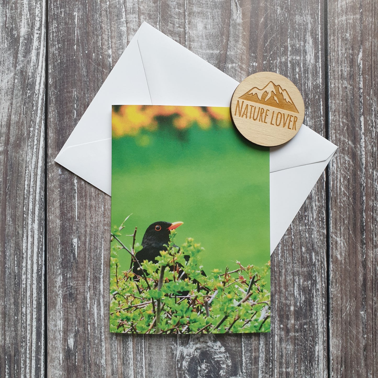 Blackbird Photographic Greeting Card