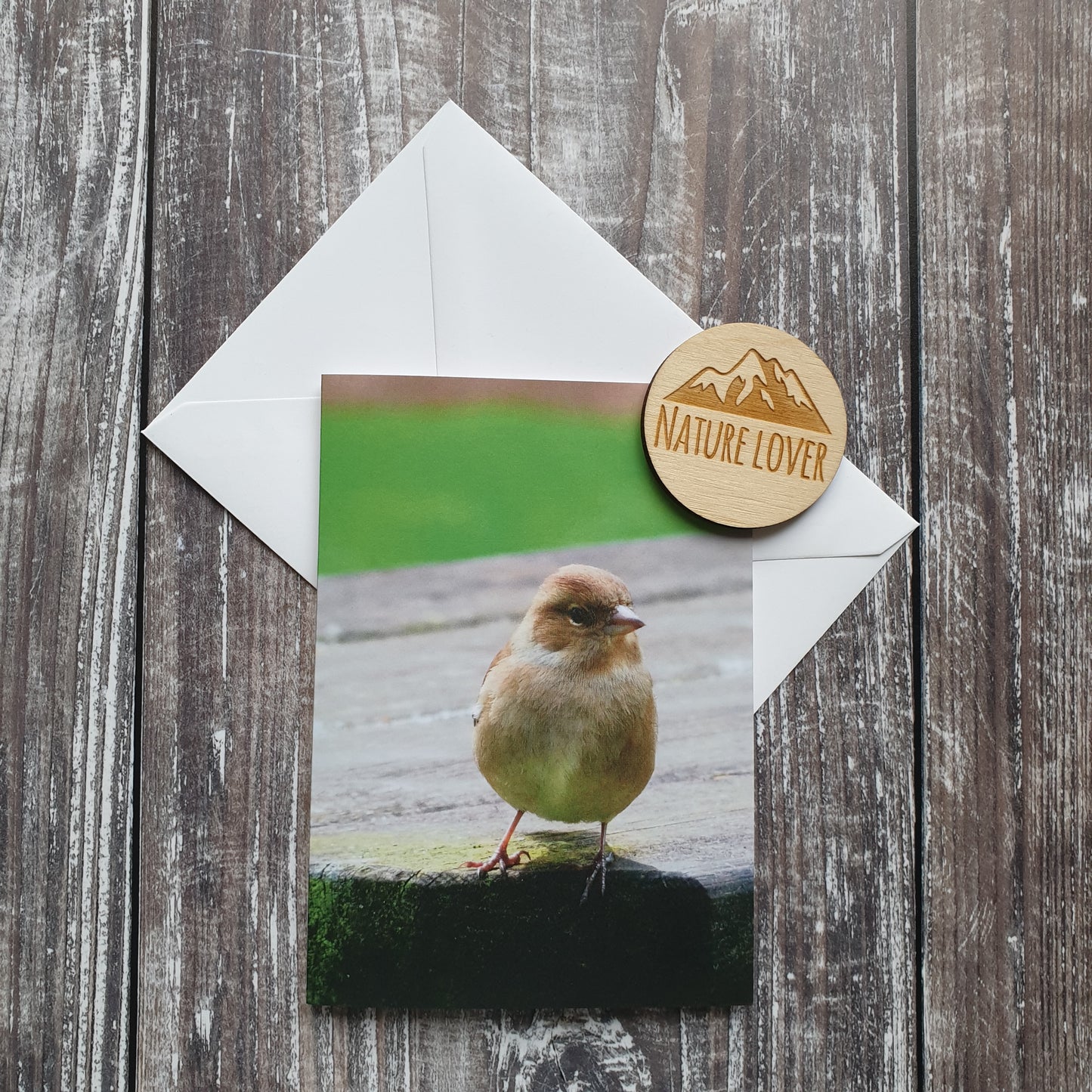 Chaffinch Photographic Greeting Card