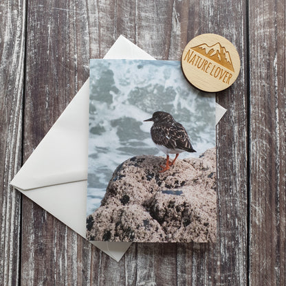 Turnstone Photographic Greeting Card