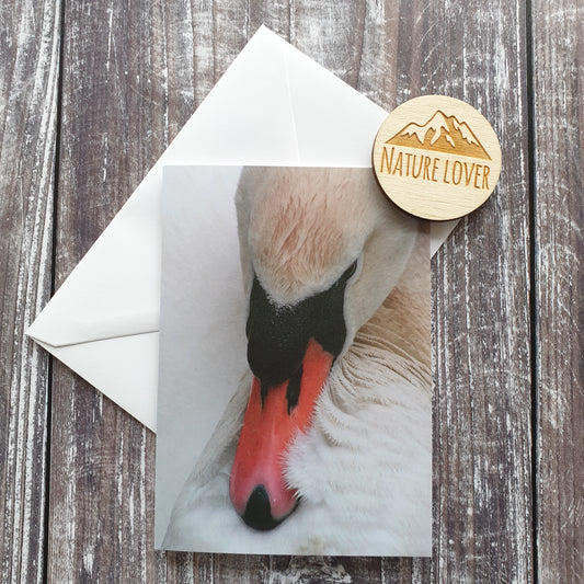 Swan Gazing Photographic Greeting Card