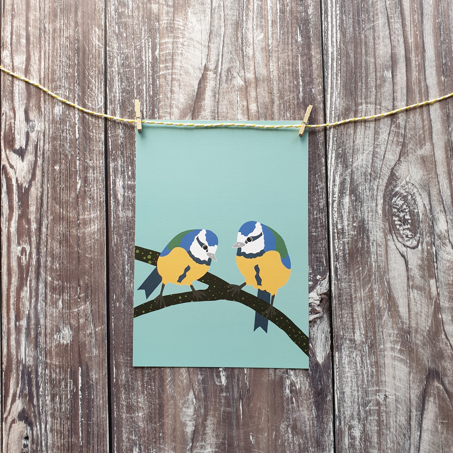 Bluetits Art Print