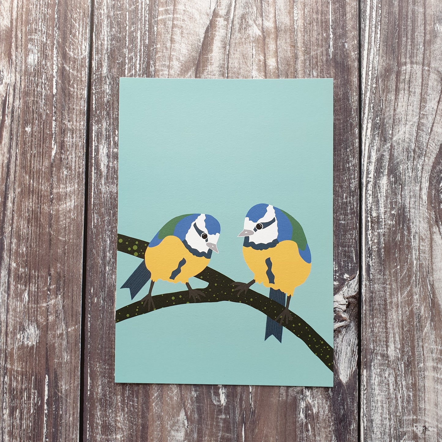 Bluetits Art Print