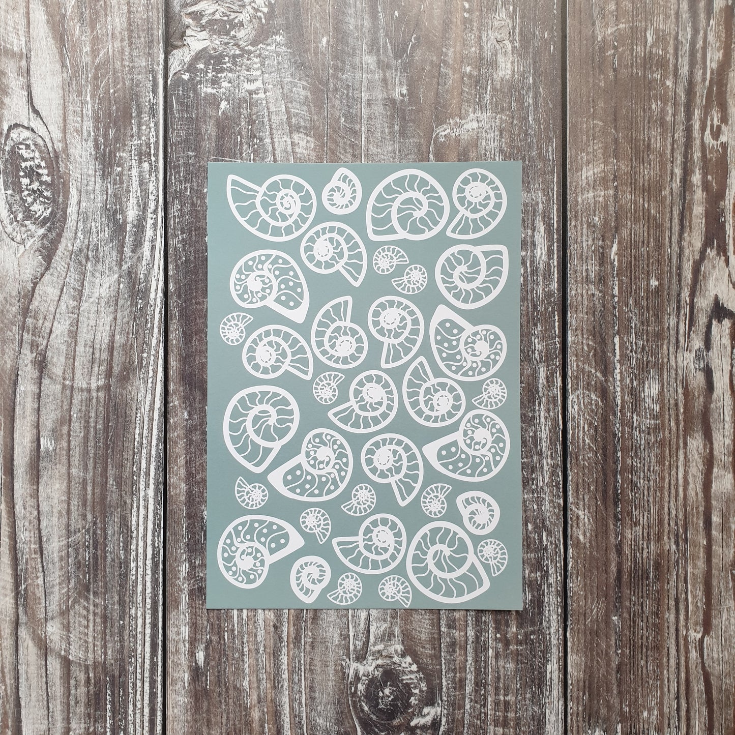 Ammonite - Pale Blue Art Print