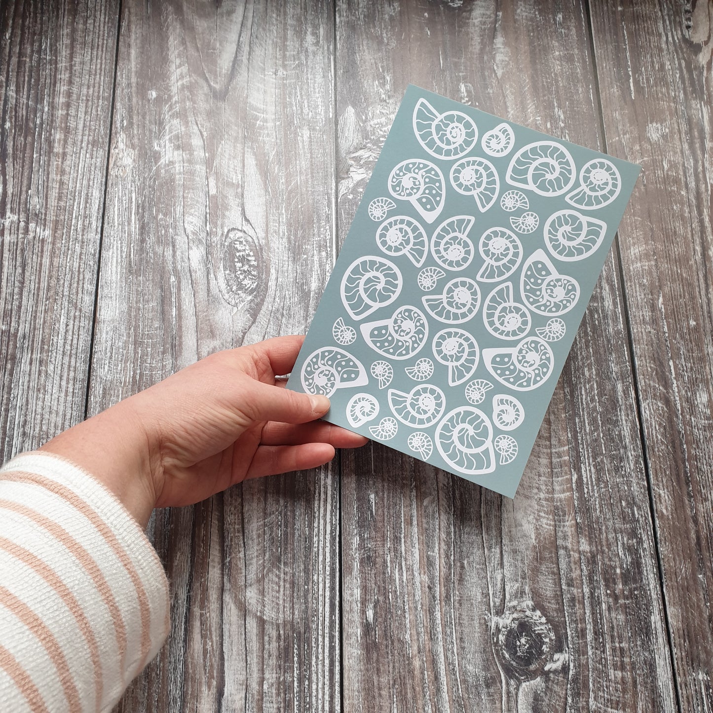 Ammonite - Pale Blue Art Print