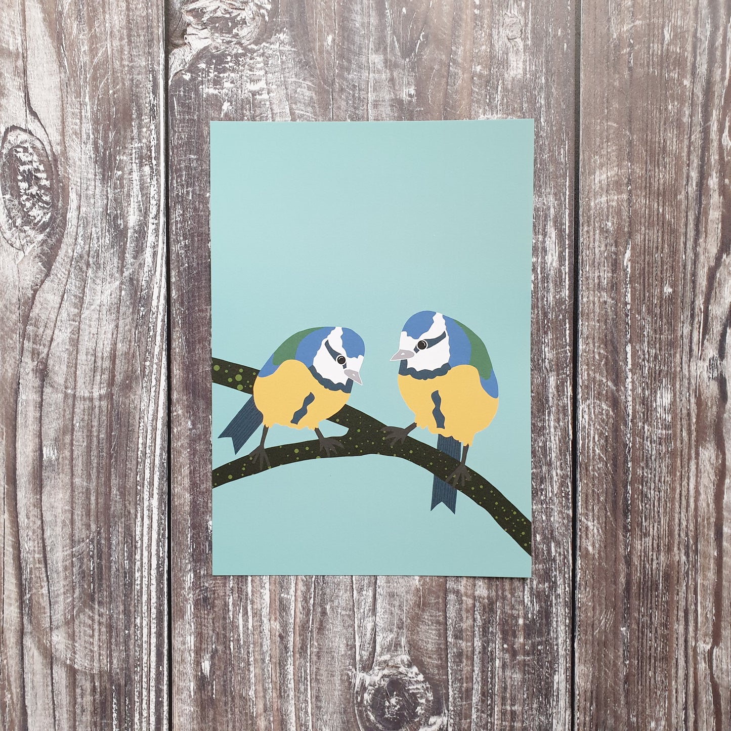 Bluetits Art Print
