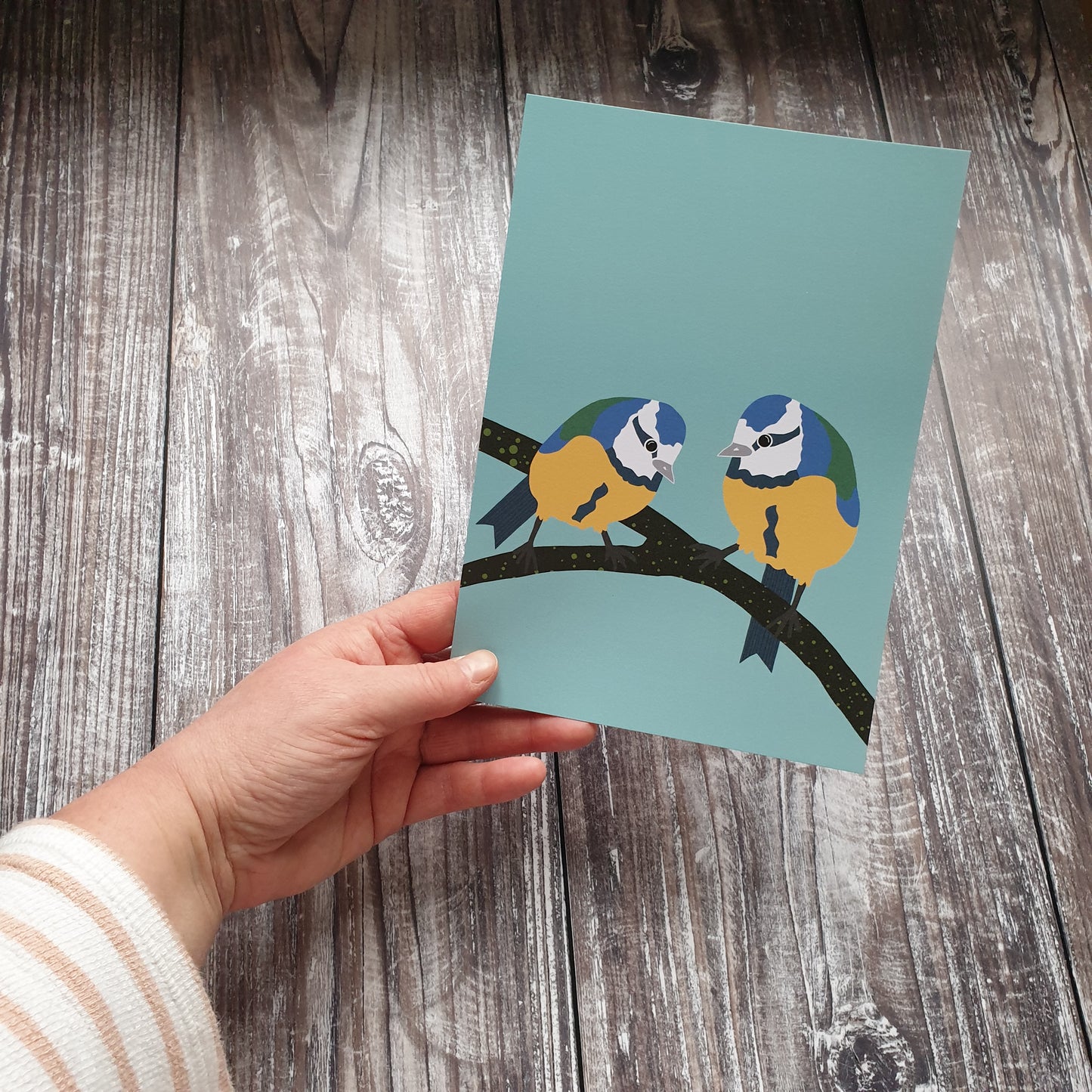 Bluetits Art Print