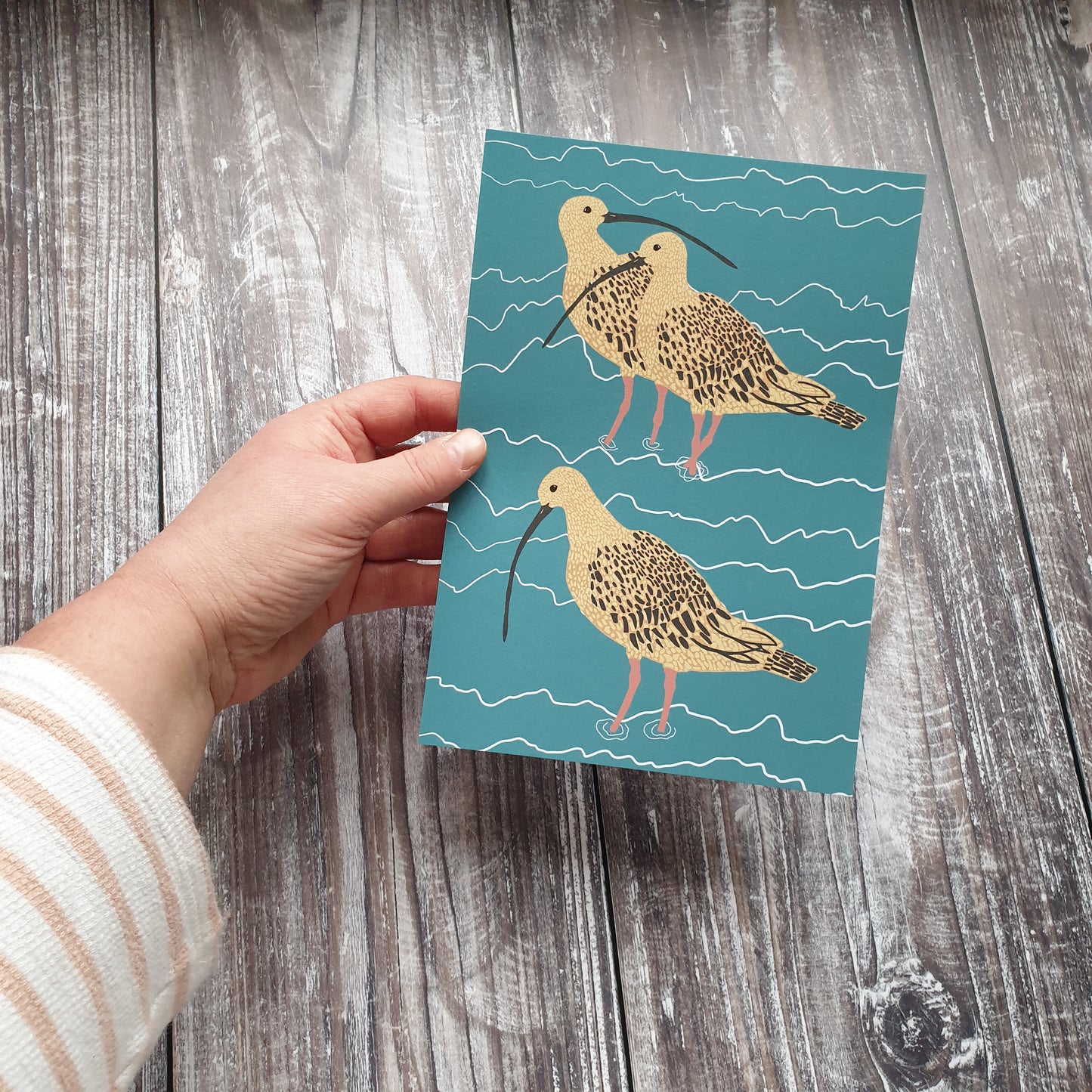 Curlew Family Art Print