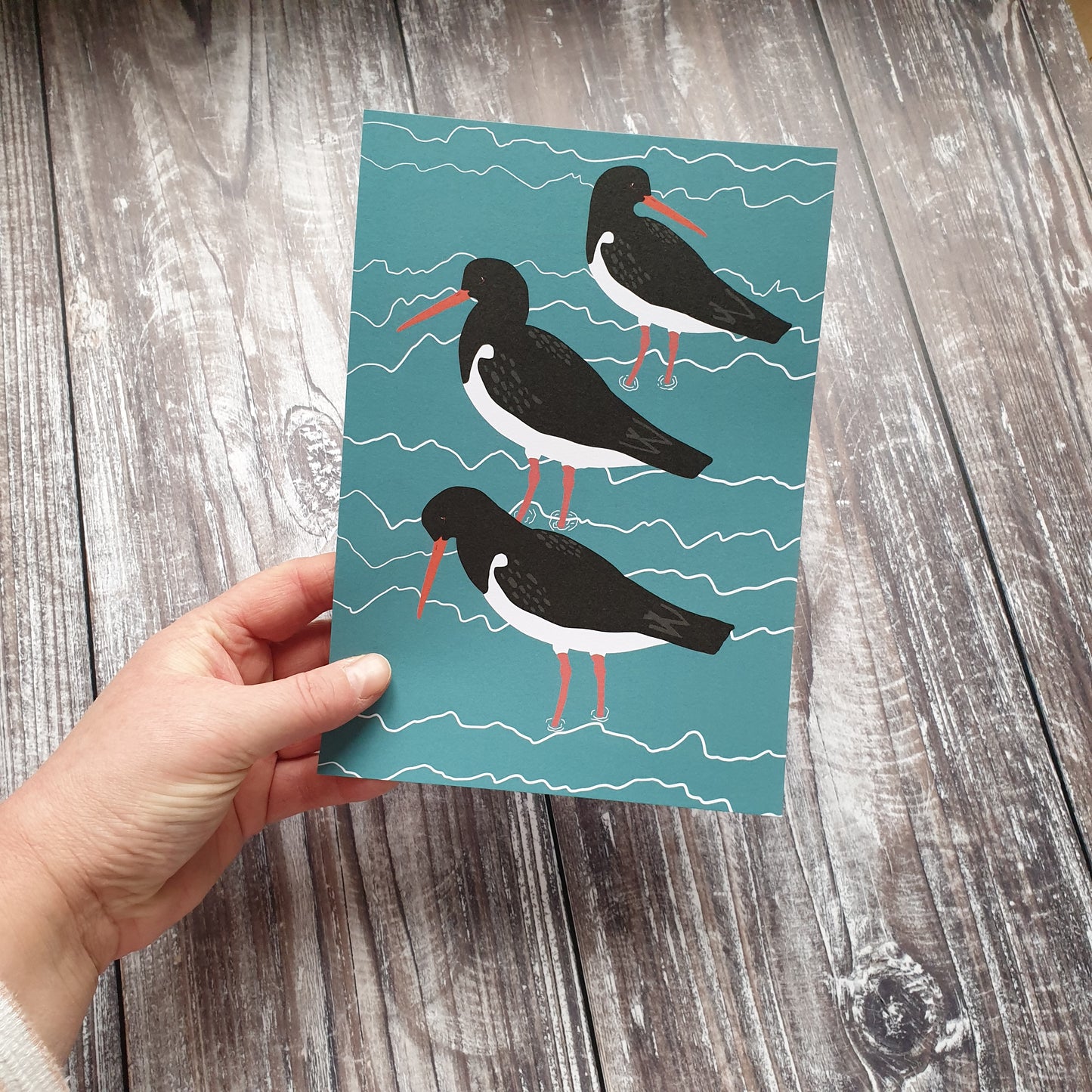 Oystercatchers Art Print