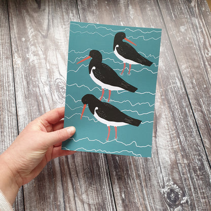 Oystercatchers Art Print