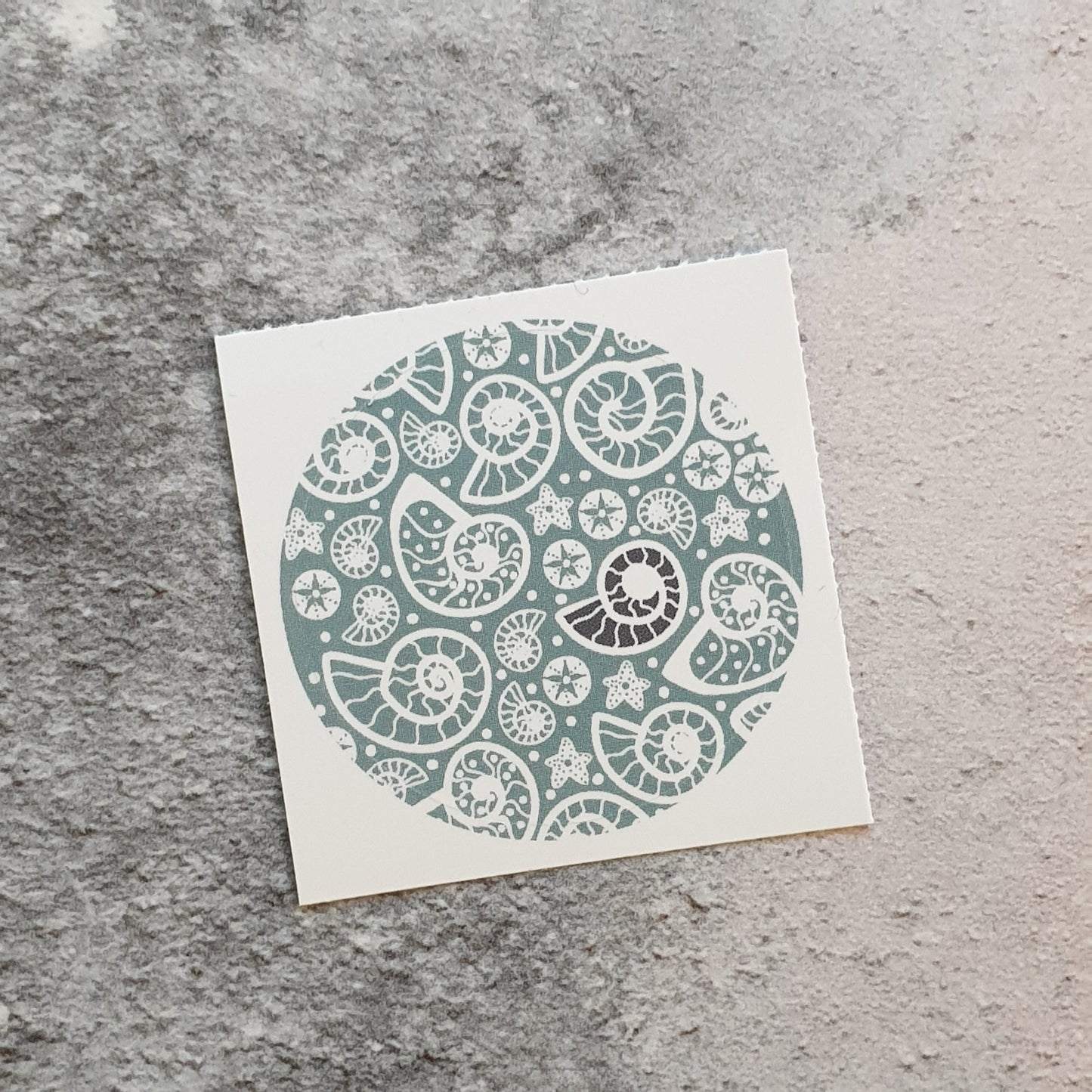 Fossil Beach 38mm Vinyl Stickers