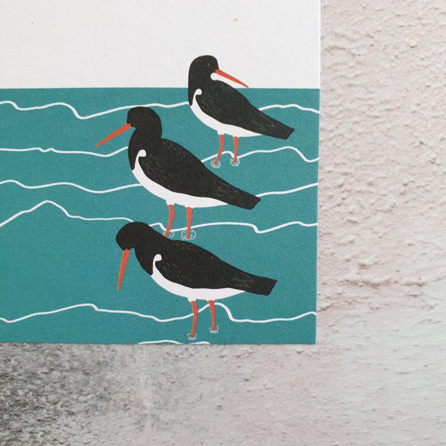 Wading Bird Gift Notes - Set of 4