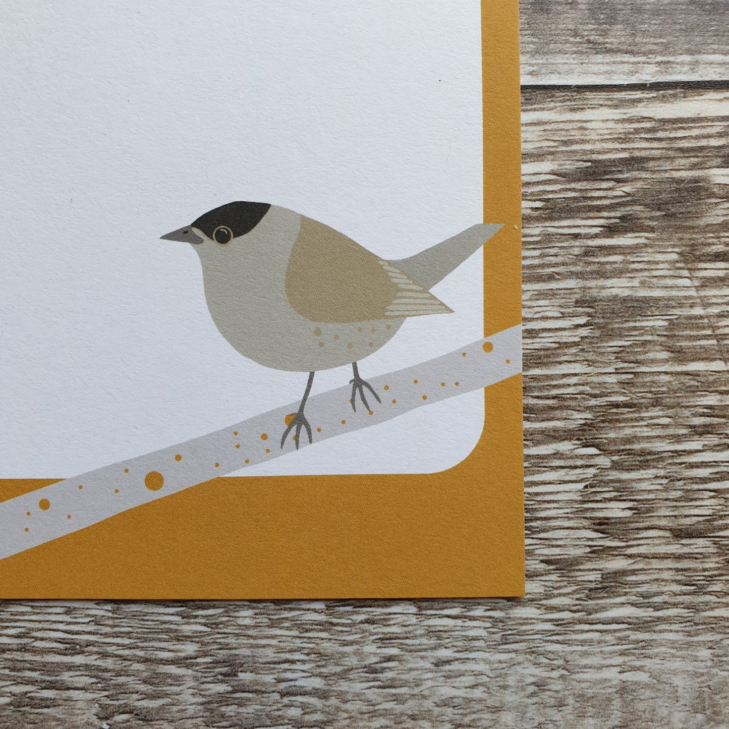 Garden Birds Mini Notes Writing Set
