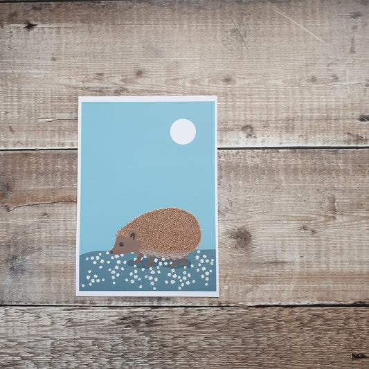 Hedgehog Art Print