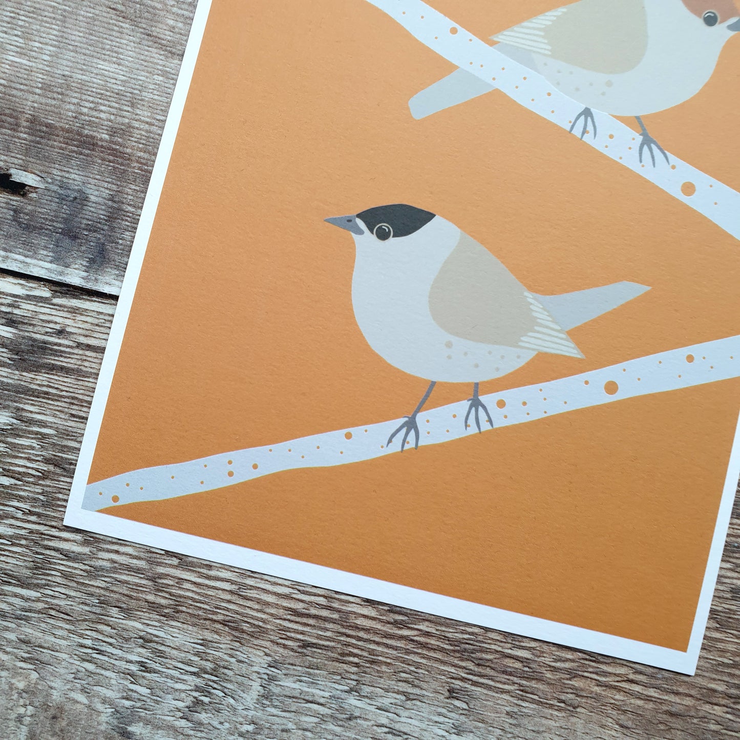 Blackcap Bird Art Print