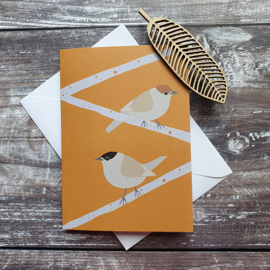 Blackcap Greeting Card