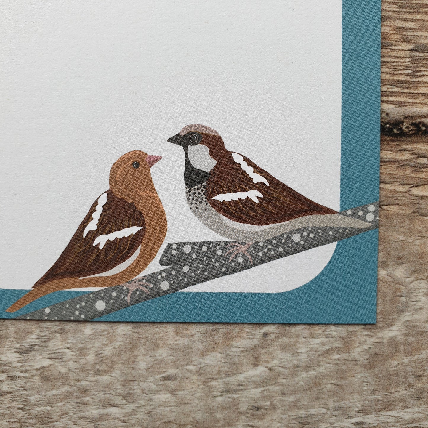 Sparrows Gift Notes - Set of 4