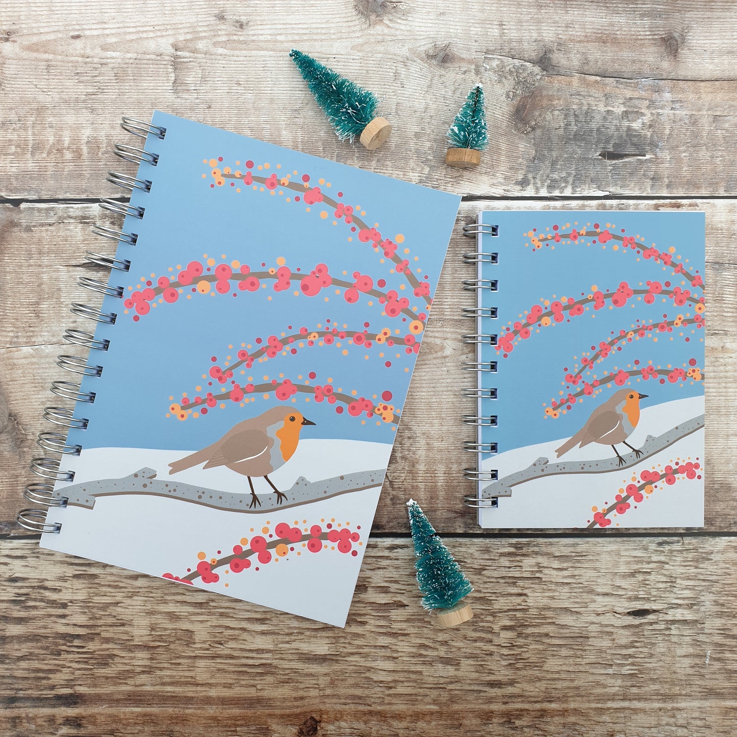 Robin in the Snow Notebooks